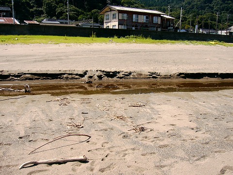 砂浜の河口1