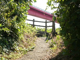 コンクリートり流し込まれた急な坂