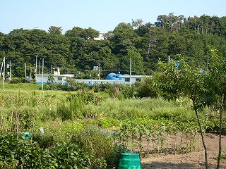 鯨の大きなオブジェを屋根にのせた低い建物