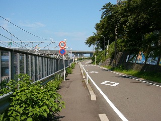 旧道を振り返って