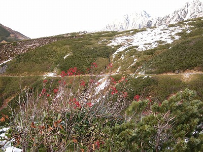 大谷の源流付近で