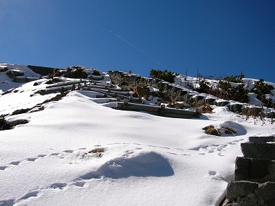雷鳥沢キャンプ場へ下る階段を見上げて