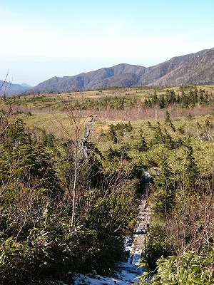 結構標高差のある木道