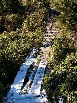 上の写真に写っている木道の低い部分