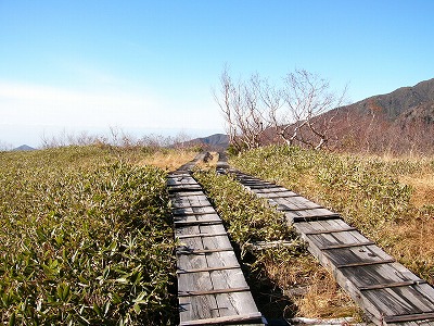 弥陀ヶ原の木道