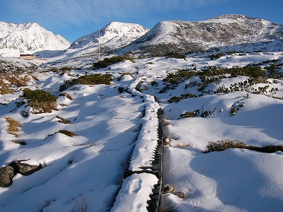 雪を冠した木道