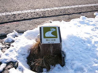車に注意の標識