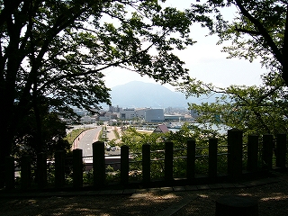 木々の間から見下ろした風景。それほど高い位置ではない。左に道路が見え、右手にはみなと博の会場地。海も水面も少し見えている。円柱形の立体映画館が少し遠くに見える。