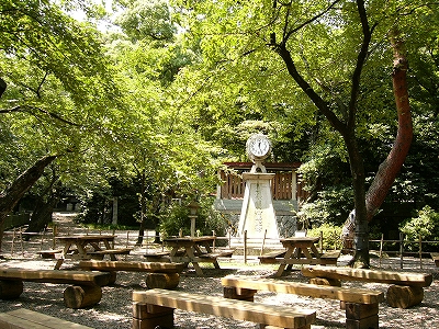 日の光によって黄緑に輝く桜の木漏れ日の下に何脚かの木製の椅子と机。