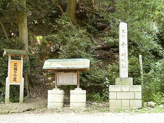 木の根元を見上げるような山肌にもとに説明板と碑。