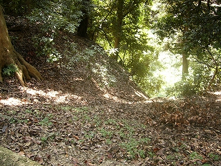 軽く彫られたような山の下りの斜面