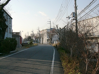 道路と脇の冬枯れした低木の並び。左手に三階建ての建物。