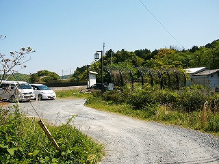 未舗装の道。両脇に緑。