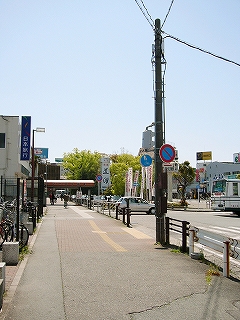 アスファルトの歩道。遠くに緑の木々か見える。