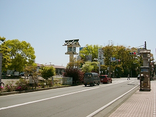 芽吹いたばかりの木々と道路、信号。