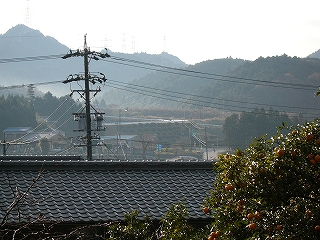 遠くの方に、道路が上にありそうな盛り土があり、その斜面にきれいに丸っこく整えられたつつじの植え込みが規則正しく植えられているのが見え、その盛り土に登っていくような斜めの道路が見える。