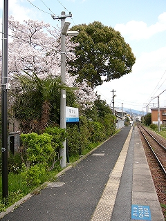 植え込みとホーム。
