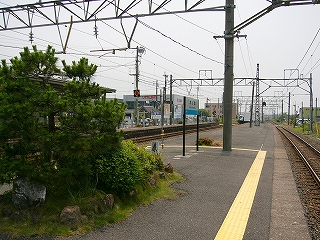 ホームの低い松と駅名標を斜めに見て。