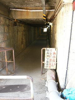 入口から入った直後の風景。通行が制限できるように、開閉できる錆びた低い柵が設置されている。