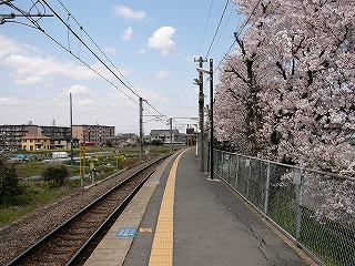 桜が右脇に咲くホーム。その向こうに畑・民家。