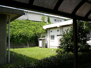 四角い建物の間に挟まれた芝生のスペース。奥は盛り土の緑。