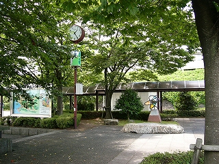 木々と共に立つ、ポールの上に取り付けられた時計のある前。