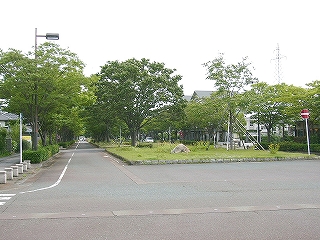 かなり幅広の緑地帯のある駅前の道路。誰も歩いていない。