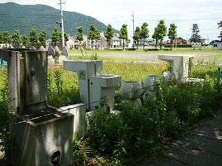 雑草の中に立ち並ぶ、公園設備。