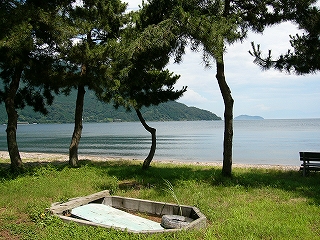 4本の松と浜辺。