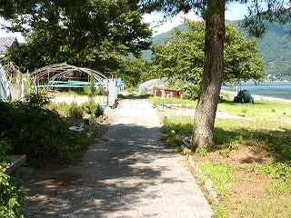 白い石の道。周りは松や芝生の緑が多いが、左奥に鉄パイプだけのビニールハウス。