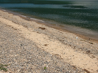 かれた小さな木の枝と石の粒の大きな浜辺。