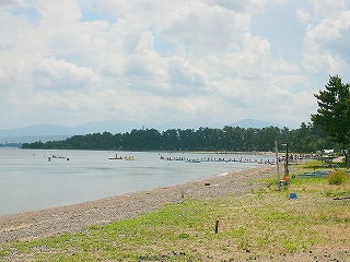 ずっと遠くで湾曲する浜辺には、それに沿うように松の濃い緑が続いている。