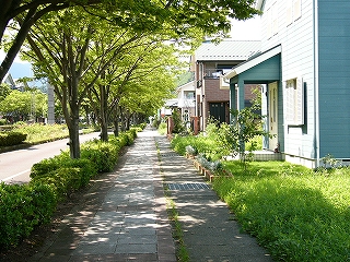 右手にしゃれたポーチの家の並び、左手には並木。