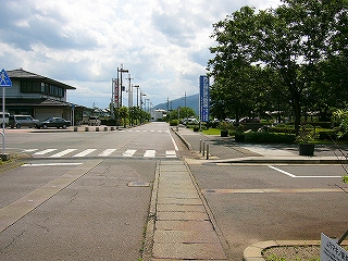 右手に大きな幅の広い緑の木。正面にまっすぐの道。