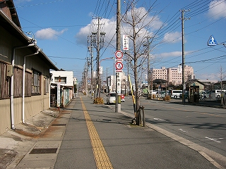 歩道と道路。並木は枯れている。