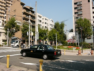 緑の茂った低い並木と新しいほっそりした7階建てのマンションの並んだ風景。