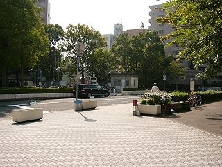 南出口改札を出て右を見た光景大きな木々が街路樹として植えられているロータリー。木々のせいか、殺伐とした雰囲気はない。