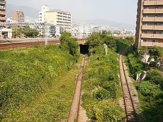 左に複々線の下をくぐってきた1線と右に分岐して下ってきた1線。周りは緑が茂っている。