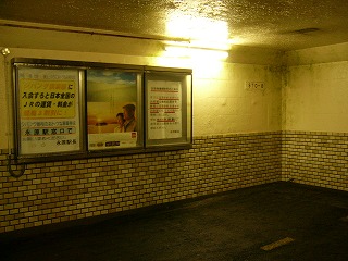 コンクリートトンネルの隅。弱々しい蛍光灯。