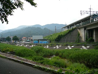 高い盛土の上にあるホーム。斜面は緑が覆い尽くしている。