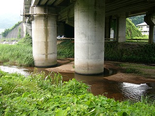 高架下の川