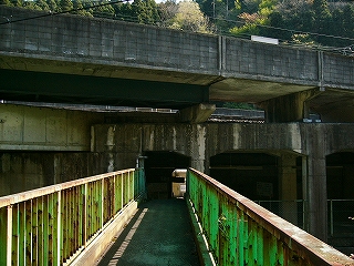 緑の橋の上にて。