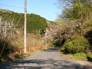 下るような道。