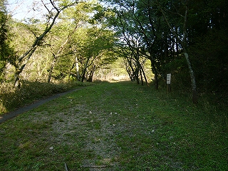 木陰の広い道。