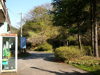 緑の中の小道。