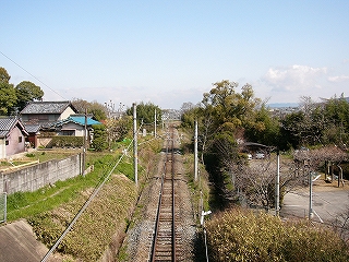 木々や草草や住宅に囲まれた単線
