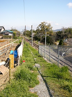 明るい緑の草草が両脇に生えた細い農道。