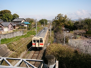 木々や草草や住宅に囲まれた単線を去ってゆく列車。