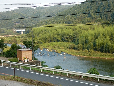 道路と木津川。向こうの河原には竹林が鬱蒼と茂っている。
