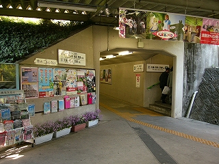 地下道への入口はトンネルへの入口のようでもある。